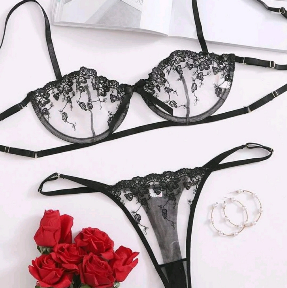 NWOT Embroidered Mesh Underlined Lingerie Set